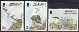 Alderney 1994-1995 Birds Oiseaux Aves Vogels Fulmar Gull Tern MNH - Seagulls