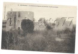 Herbignac (44) : Ruines Du Château De Ranrouet En 1910. - Herbignac