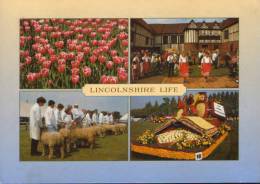 England-Postcard Unused-Lincolnshire Life-multiviews-2/scans - Autres & Non Classés