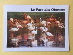 Dep 01 , Cpm VILLARDS Les DOMBES , Le Parc Des Oiseaux , Flamants , Edit.Combier(130) - Villars-les-Dombes