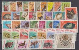 Romania Fauna 5 Complete Series USED - Other & Unclassified