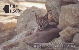 Oman,  OMN-G-13A, 1993 The Rare And The Beautiful, Lynx, 2 Scans. - Oman