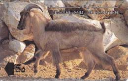 Oman,  OMN-G-13C, 1993 The Rare And The Beautiful, Arabian Tahr, 2 Scans. - Oman