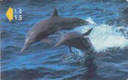 Oman,  OMN-G-50C, Dolphins, 2 Scans. - Oman