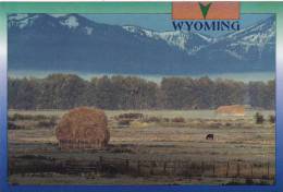 Wyoming South Park Teton County Typical Ranch Scene - Other & Unclassified