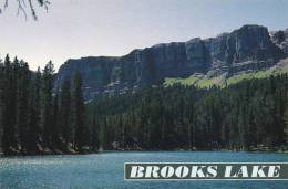 Wyoming Brooks Lake - Altri & Non Classificati