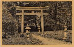 BR55236 Le Torill Japonais  Le Parc   Mariemont   2 Scans - Morlanwelz