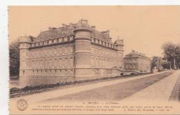 BR55413 Le Chateau Actuel Est Comme L Ancien     Beloeil   2 Scans - Beloeil