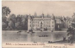 BR55416 Le Chateau Du Cote Du Bassin De Netune    Beloeil   2 Scans - Beloeil