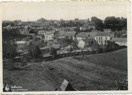 Neufchateau :  Vue Panoramique    ( Grand Format )  Ecrit - Neufchâteau