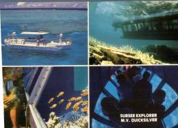 (600) Australia - MV Quicksilver - Sous-marins