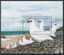 CHILE 2001 ANTARTICA CHILENA Antarctic Pidgeon/Paloma Minisheet** - Antarctic Wildlife