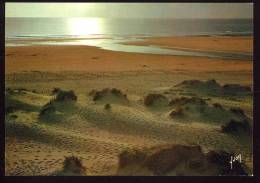 CPM Neuve Contre La Lumière  Crépuscule Sur Le Plages De L'Océan - Contre La Lumière