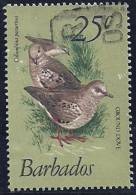 Barbados 1979 Birds Aves Oiseaux Vegels - Pigeons, Doves -  Common Ground-Dove  - Columbina Passerina Canc - Tauben & Flughühner