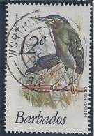 Barbados 1979 Birds Aves Oiseaux Vegels - Herons, Bitterns - Green Heron - Butorides Virescens Canc - Ooievaars