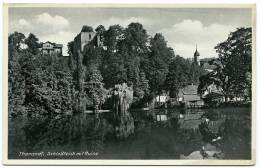 ALLEMAGNE : THARANDT - SCHLOSSTEICH MIT RUINE - Tharandt