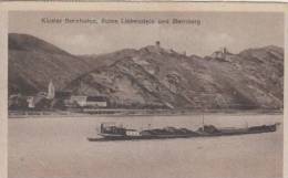 Sternberg      Kloster Bornhofen, Ruine Liebenstein Und Sternberg          Scan 3382 - Sternberg