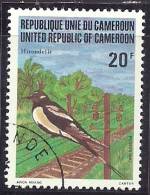Cameroun 1982 Birds Aves Oiseaux Vegels  -  Barn Swallow - Hirundo Rustica Canc - Rondini