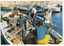 13 - Retour De Pêche - Editeur: Tardy à Marseille N° 98 - Petits Métiers