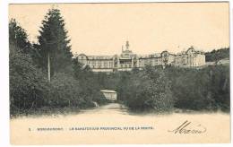 Postkaart / Carte Postale "Borgoumont - Le Sanatorium Vu De La Route" - Stoumont