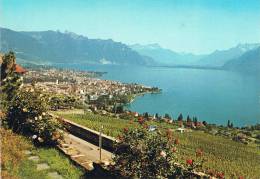 VEVEY - Vue Générale Depuis CHARDONNE - Les Vignes - TBE, Carte Neuve - Chardonne