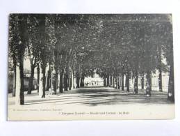 CPA 45 Loiret - JARGEAU - Boulevard Carnot - Le Mail - Jargeau