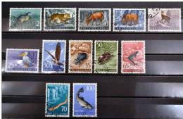 Fauna 1954 Sauber Gestempelt. - Used Stamps