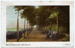 WEYMOUTH : NOTHE PROMENADE - Weymouth