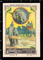Old Original German Poster Stamp (advertising Cinderella, Vignette, Reklamemarke) Elephant, Elefant, - Elefanten
