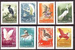 HUNGARY - 1959. Water Birds - MNH - Ungebraucht