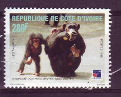 Cote D'ivoire YV 1015 N 1999 Chimpanzé - Chimpanzés