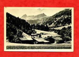 * Route Des CONTAMINES-Les Chalets De Tresse. Aiguilles De Roselette Et La Pennaz(Carte Photo) - Contamine-sur-Arve