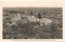 SAINT SAUVEUR EN PUISAYE VUE SUR LE FAUBOURG DES RENARDS ET LA VALLEE DU LOING - Saint Sauveur En Puisaye