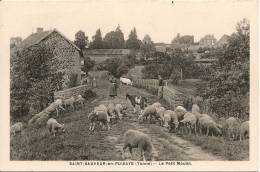 SAINT SAUVEUR EN PUISAYE LE PETIT MOULIN FERMIERS MOUTONS CHEVRES VACHES - Saint Sauveur En Puisaye