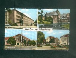AK - Allemagne - Herten In Westfalen ( Multivues Rathaus Schloss Gymnasium Am Bramhugel Cramers KG) - Herten