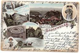 Gruss Aus Badenweiler 1898 Postcard - Badenweiler