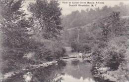 New York Catskill Mountains Arkville View At Locust Grove House Albertype - Catskills