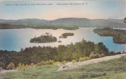 New York Adirondack Mountains Some Of The Islands In Blue Mountain Lake Albertype - Adirondack