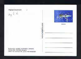 Bulgaria Postal Stationery Triple Carte Maximum Card 2005 Insects Araignées Spiders Argiope Bruennichi Sp2123 - Ragni