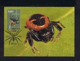 Bulgaria Triple Carte Maximum Card 2005 Insects Araignées Spiders Synema Globosum Sp2124 - Araignées