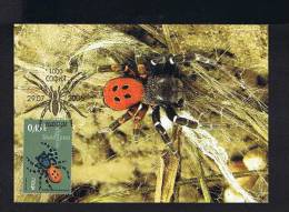 Araignées Spiders Eresus Cinnaberinnus Animaux Animals Bulgaria Carte Maximum Card 2005 Faune Sp2125 - Araignées