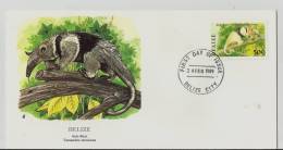 =BELIZE FDC 1989 - Belize (1973-...)