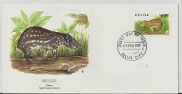 =BELIZE FDC 1989 - Belice (1973-...)