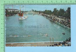 Trois-Rivieres Quebec ( Piscine De 2000 Personnes )Post Card Carte Postale 2scan - Trois-Rivières