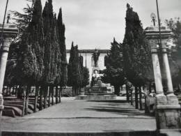 Monumento Ai Caduti Parco Rimenbranza Massa Marittima Grosseto - Monumenti Ai Caduti