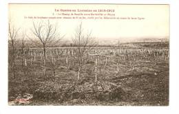 CPA -54 - Champ Bataille Entre Gerbeviller Et Moyen : Bois De Bouleau , Barbelés établis Par Les Allemands - Tombe - War 1914-18