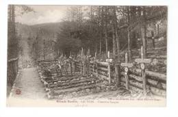 CPA : 88 - Lac Noir : Cimetière Français - Cimetières Militaires