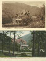 68 CPA Murbach Hotel Barnabé Wolf 2 Cartes - Murbach