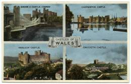 CASTLES OF WALES : MULTIVIEW - Other & Unclassified