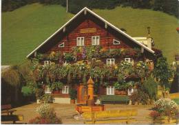 Alte AK Dienten Am Hochkönig 1993, Blumenhaus - Dienten